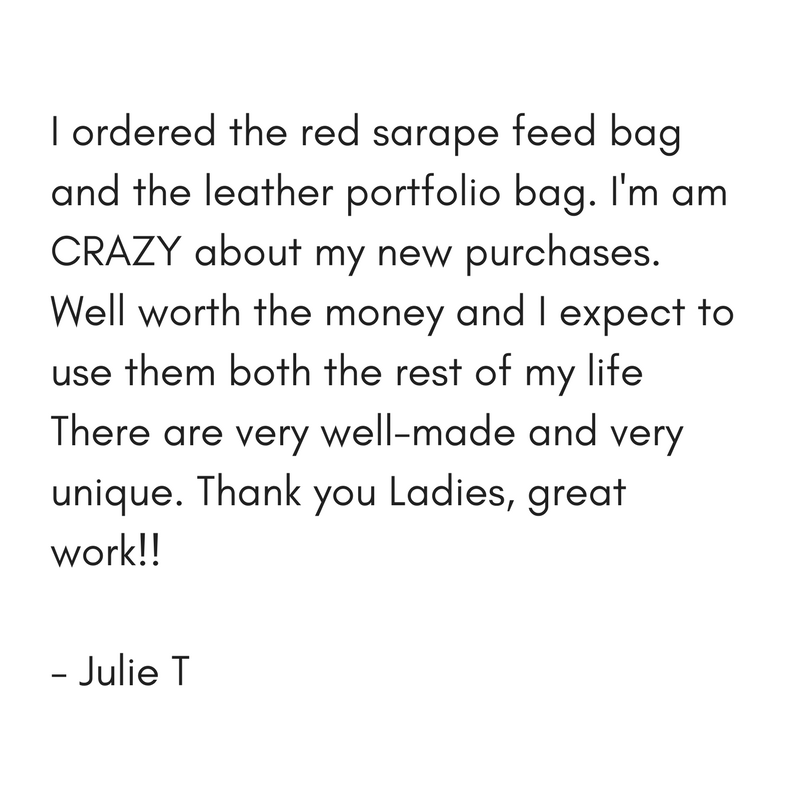 Red Sarape Feed Bag